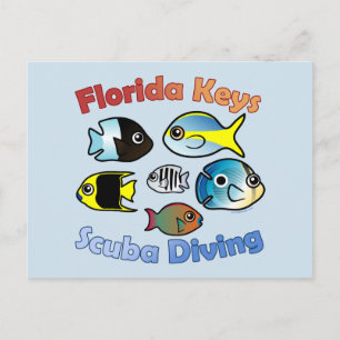 Florida Nycklar Dyka Vykort