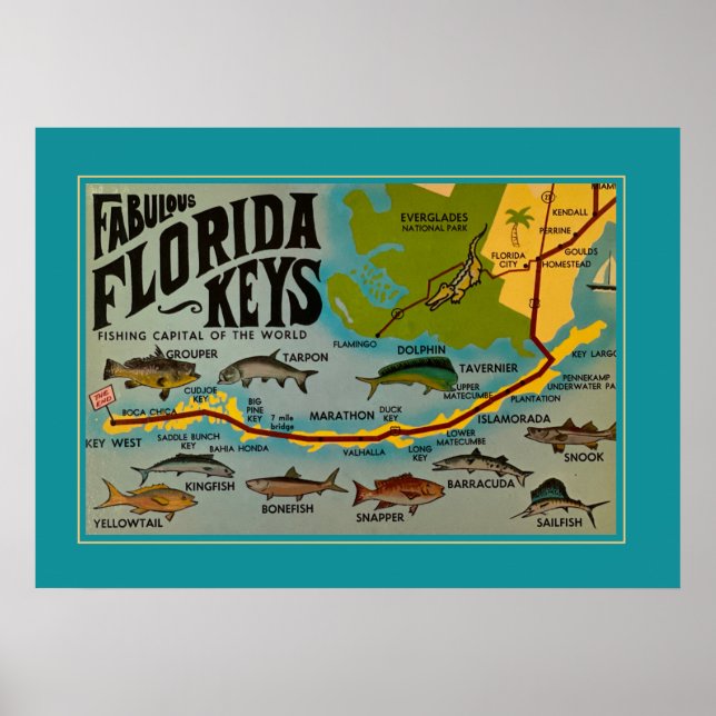 Florida Nycklar Fish Poster (Framsidan)