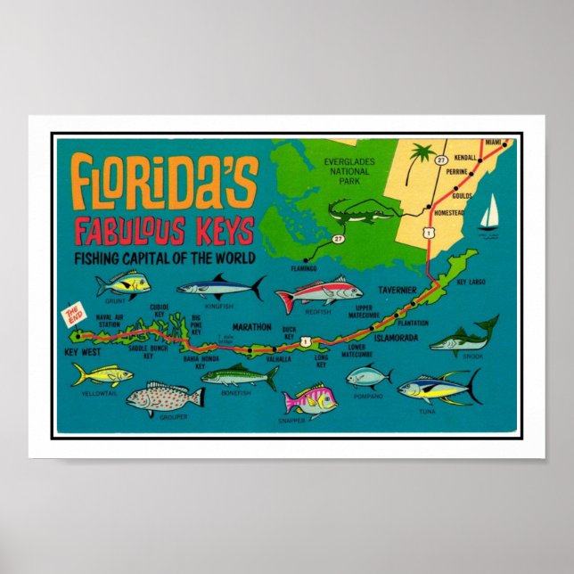 Florida Nycklar Fish Print Poster (Framsidan)