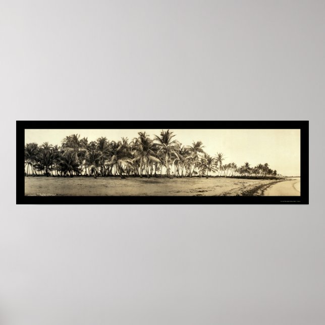 Florida Nycklar Fishing Photo 1912 Poster (Framsidan)