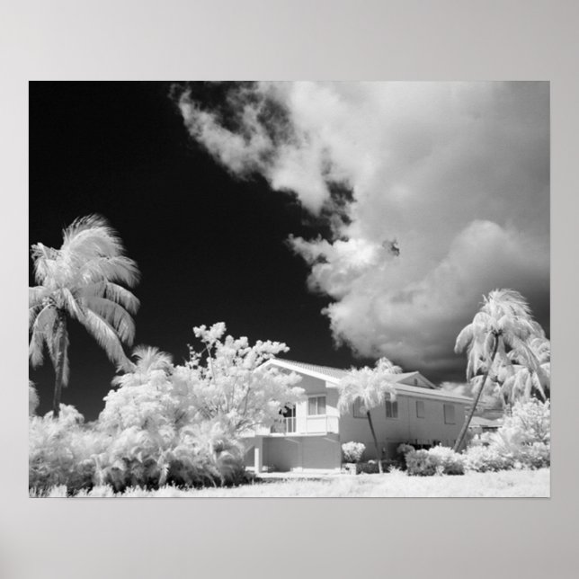 Florida Nycklar house och dess handflatan träd, US Poster (Framsidan)