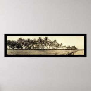 Florida nycklar som fiskar fotoet 1912 poster