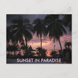 Florida Nycklar Sunset in Paradise vycard Vykort