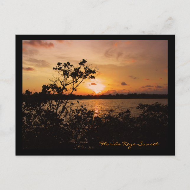 Florida Nycklar Sunset Vykort (Framsida)