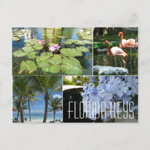 Florida Nycklar vykort