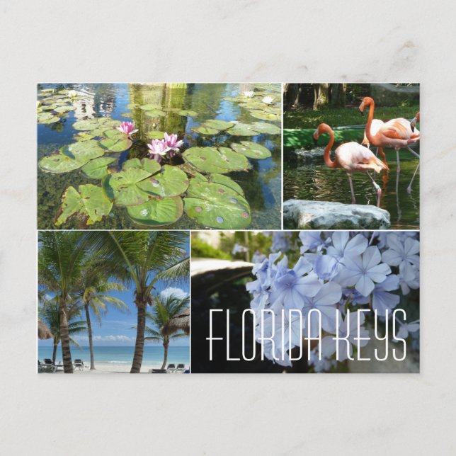 Florida Nycklar vykort (Framsida)