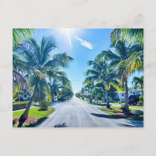 Florida Nycklar Vykort