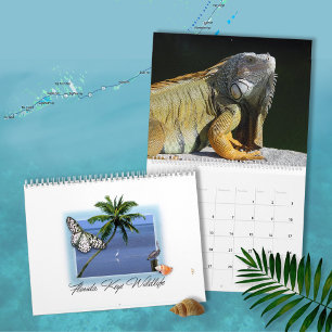 Florida Nycklar Wildlife Calendar Kalender