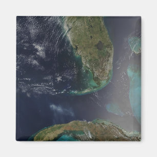 Florida och Kuba Magnet