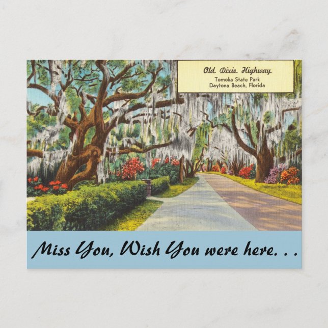 Florida, Old Dixie Highway, Daytona Beach Vykort (Framsida)