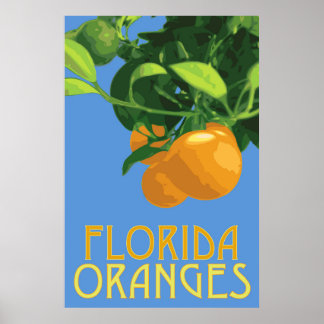 Florida Orange Fruit Poster 24 x 36