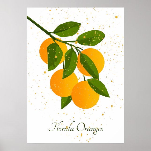 Florida Oranges Abstrakt Citrus Fruit Art. Poster (Framsidan)