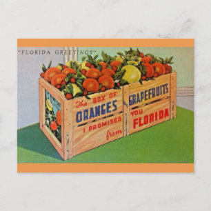 Florida Oranges och Grapefruit Låda vykort