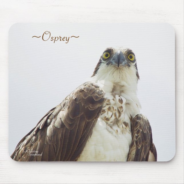 Florida Osprey Mousepad Musmatta (Framsidan)