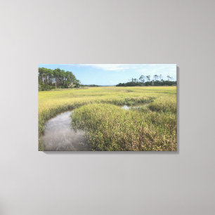 Florida Palencia Photograph Canvas