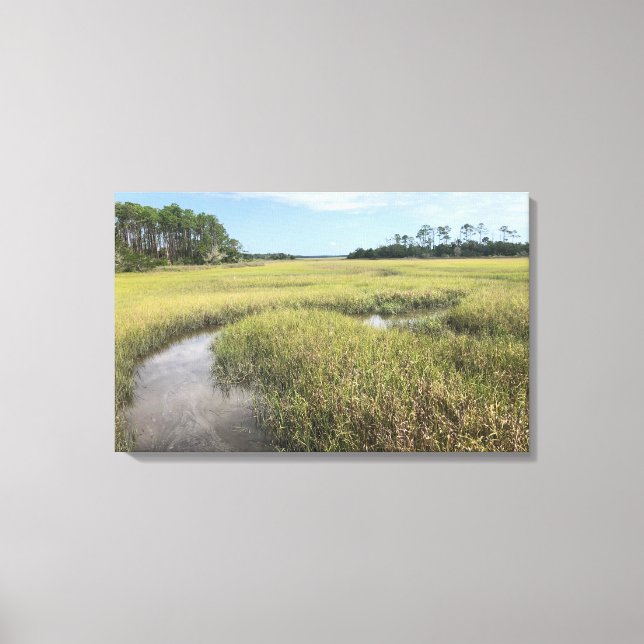 Florida Palencia Photograph Canvas (Framsida)