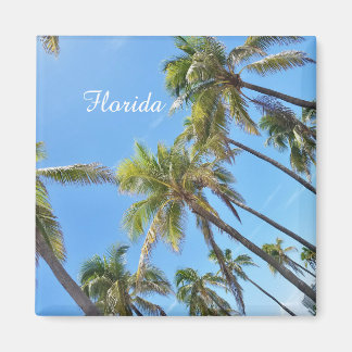 Florida Palmträd Magnet