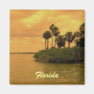 Florida palmträdReverie Magnet