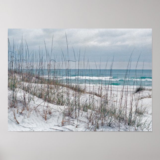 Florida Panhandle Beach Poster (Framsidan)