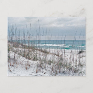 Florida Panhandle-strand Vykort