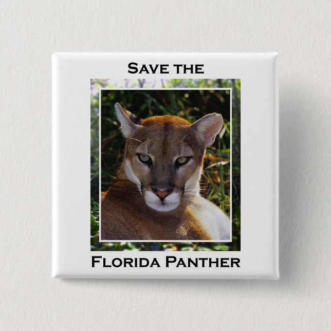 Florida panter knapp (Framsida)