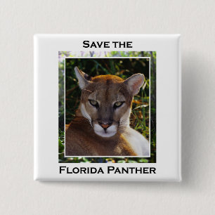 Florida panter knapp