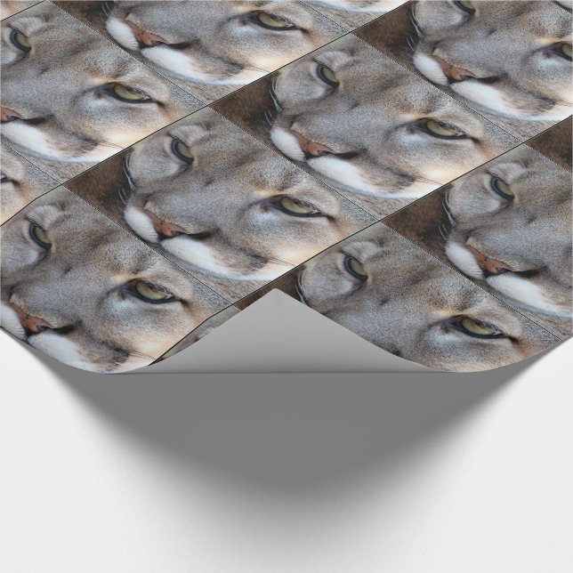 Florida panter som slår in papper (4071) (gränsen) presentpapper (Hörn)