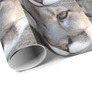 Florida panter som slår in papper (4071) presentpapper