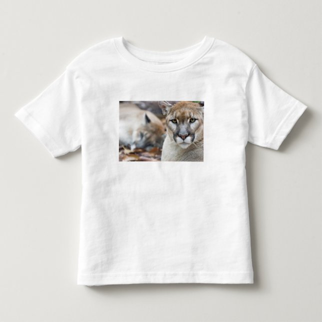 Florida panter t-shirt (Framsida)
