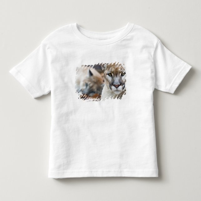 Florida Panter T Shirt (Framsida)