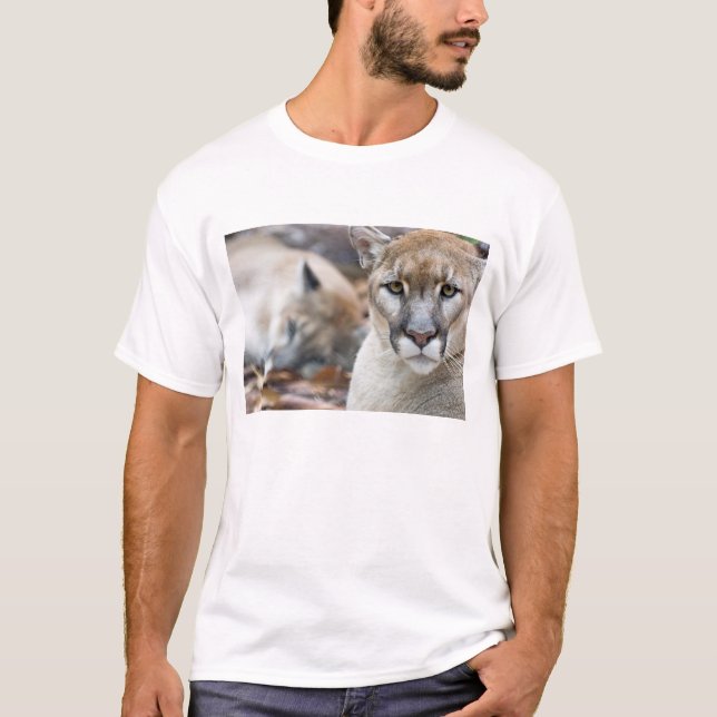 Florida panter tee shirt (Framsida)