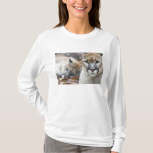 Florida panter tröja