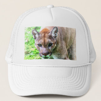 FLORIDA PANTHER BASEBOLLHATT ELLER MÖSSA KEPS