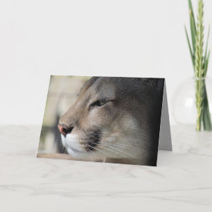 Florida Panther Birthday Card Kort