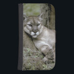 Florida panther, Felis concolor coryi Samsung S4 Plånboksfodral<br><div class="desc">COPYRIGHT Maresa Pryor / DanitaDelimont.com | NA02 MPR0105.jpg | Florida panther,  Felis concolor coryi,  kontrollerad,  utrotningshotad art.</div>