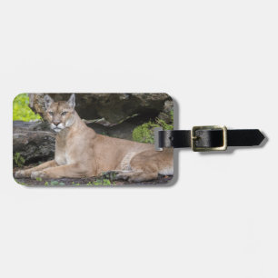 Florida Panther Luggage Tag Bagagebricka