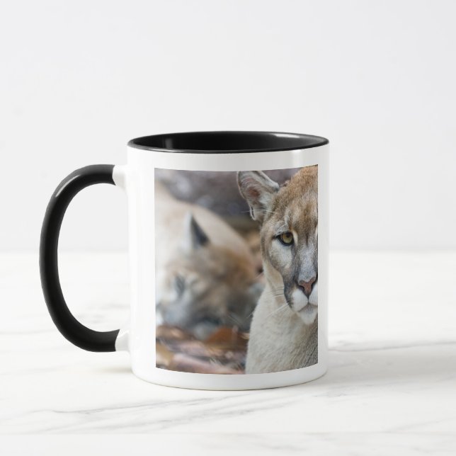 Florida Panther Mugg (Vänster)