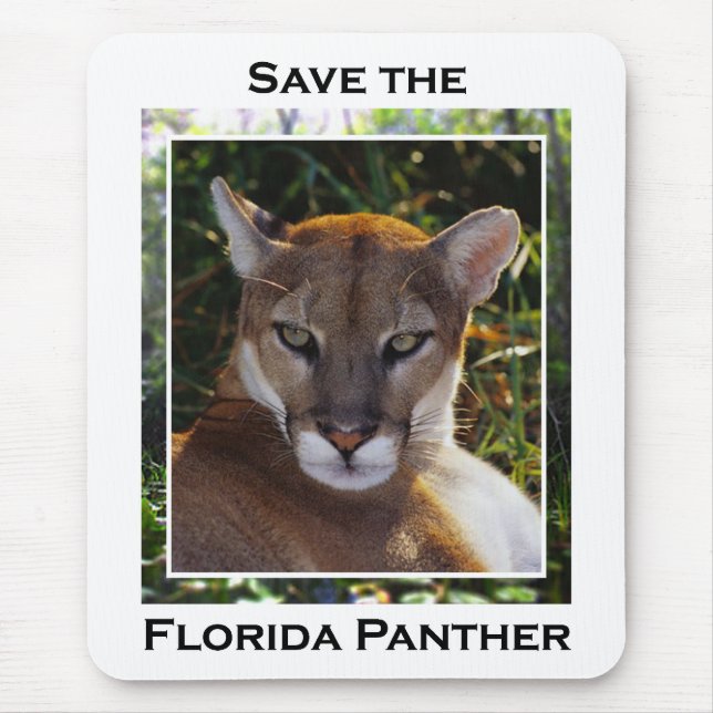 Florida Panther Musmatta (Framsidan)