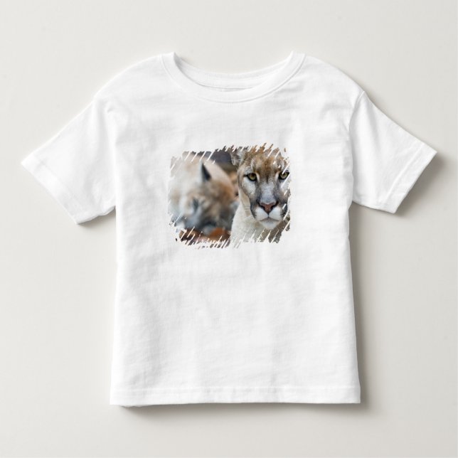 Florida Panther T Shirt (Framsida)