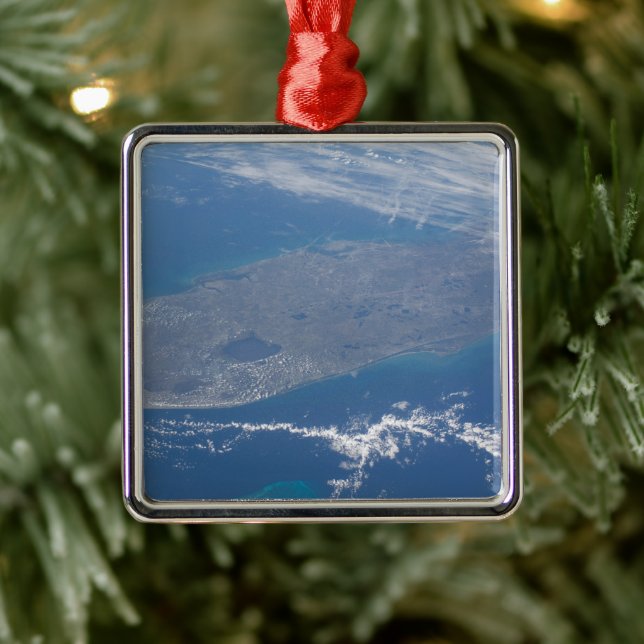 Florida-Peninsulan. Julgransprydnad Metall (Träd)