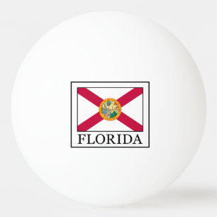 Florida Pingisboll