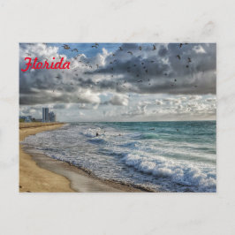 Florida Post Card South Florida Kusten Vykort