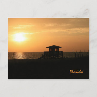 Florida Postcard Vykort