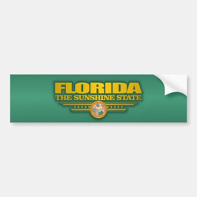 Florida Pride Bildekal (Framsidan)