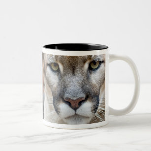 Florida Puma Två-Tonad Mugg