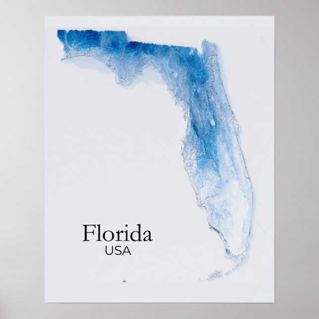 Florida Relief Karta Bleu Struktur Poster (Framsidan)