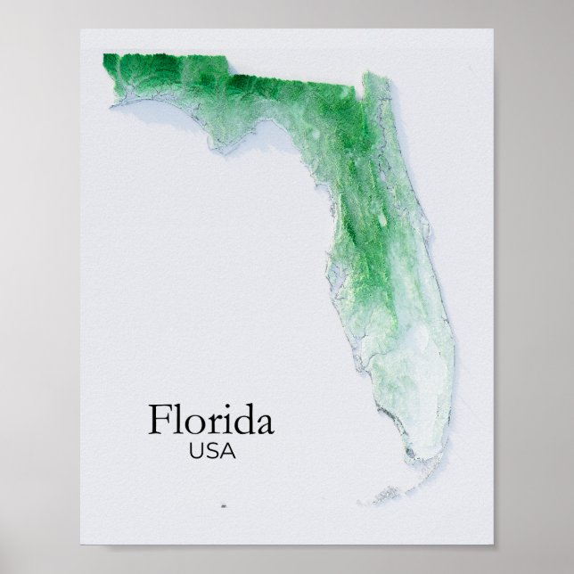 Florida Relief Karta Grönt Struktur Poster (Framsidan)
