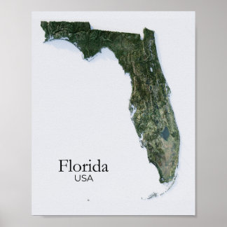Florida Relief Karta Nature Struktur Poster