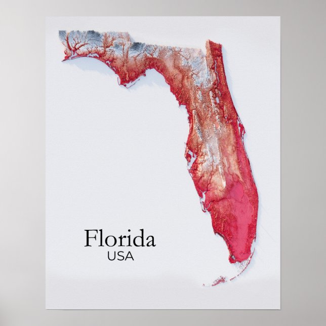 Florida Relief Karta Red Struktur Poster (Framsidan)