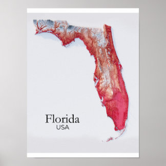 Florida Reliefkartal Röda Strukturer Poster